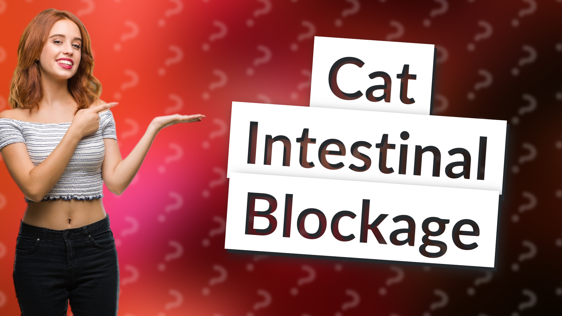 Cat Intestinal Blockage