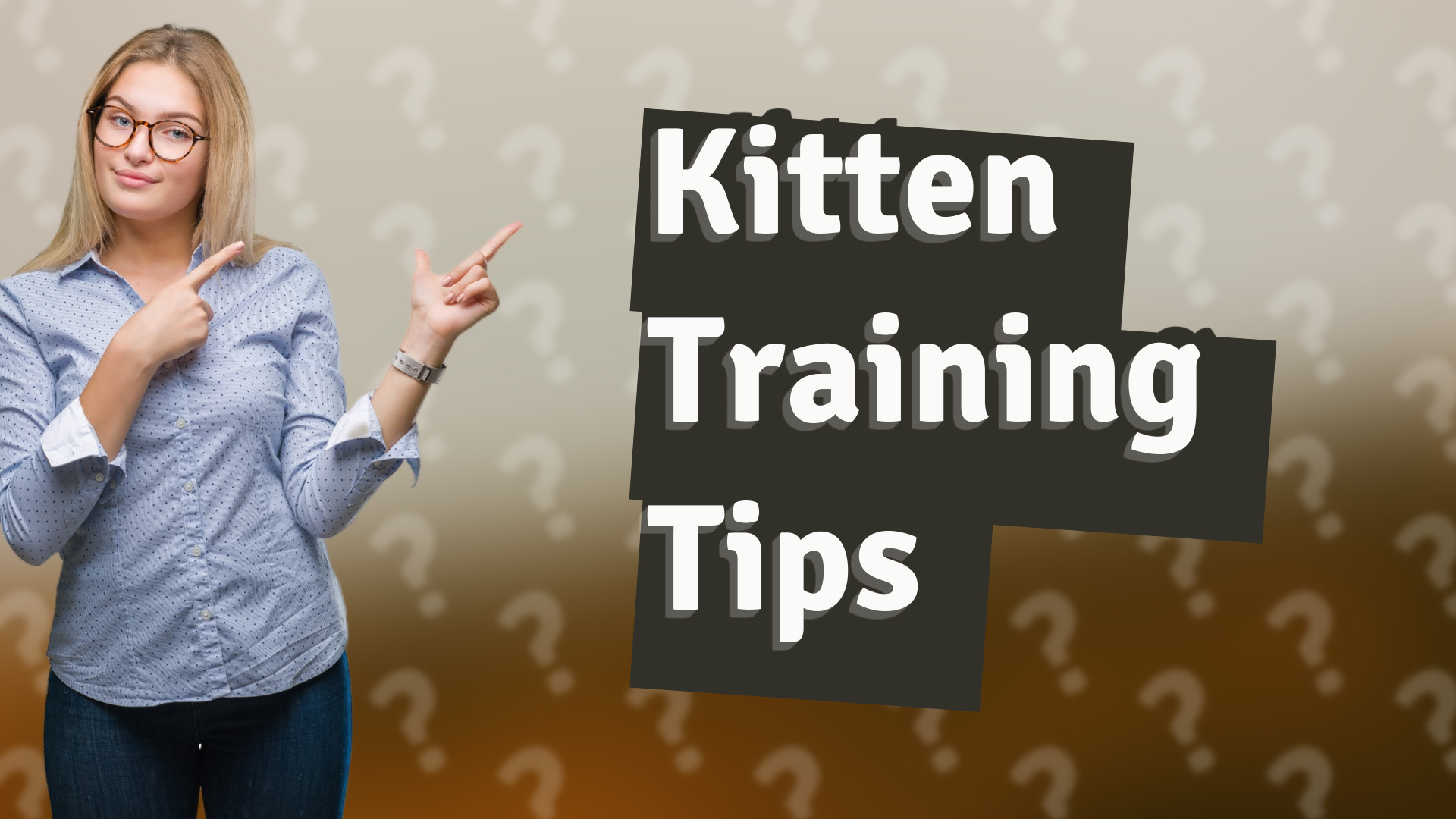 Kitten Training Tips