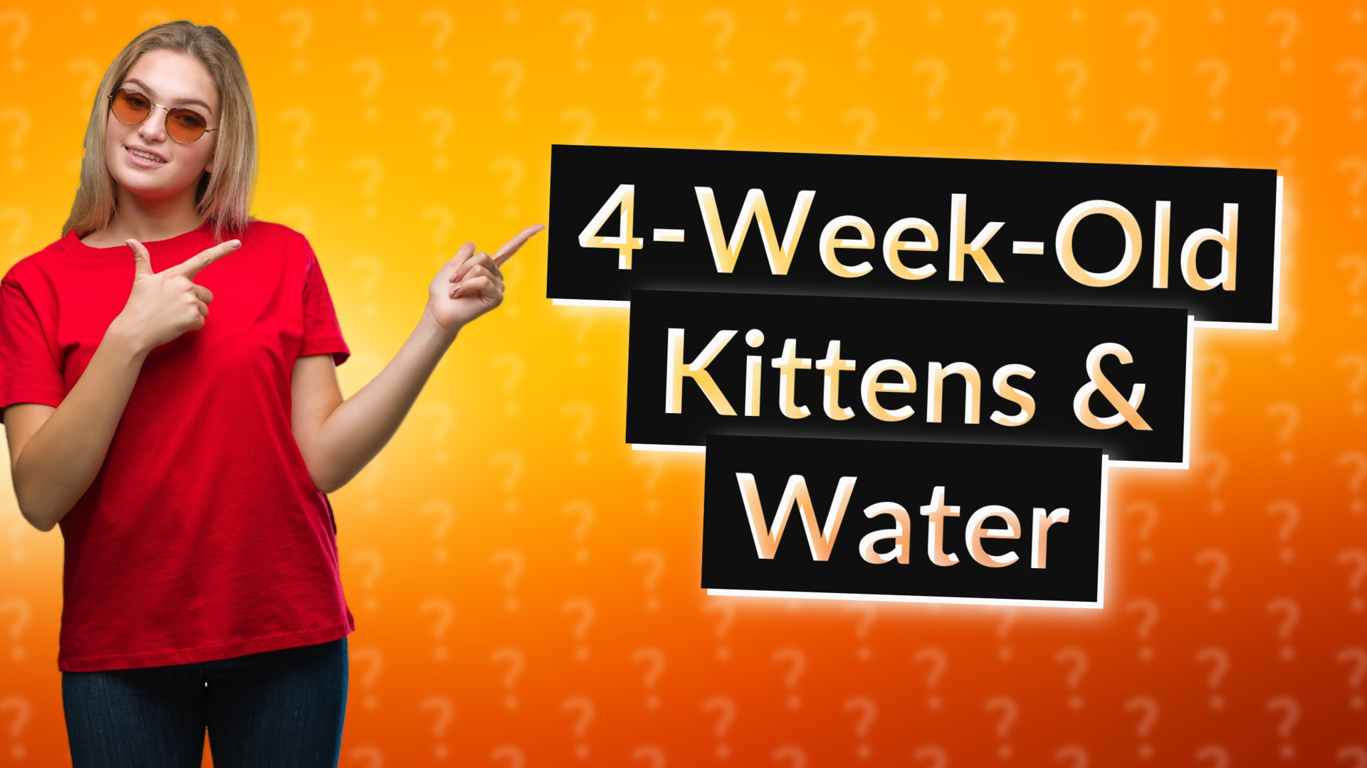 4-Week-Old Kittens & Water