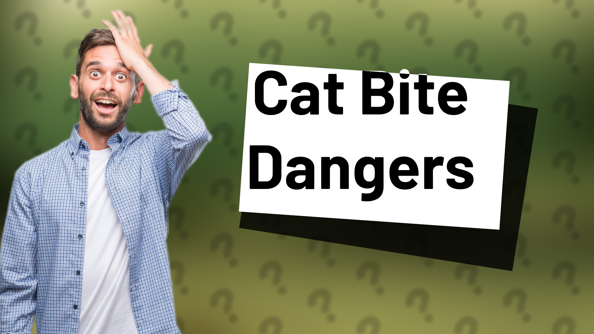 Cat Bite Dangers