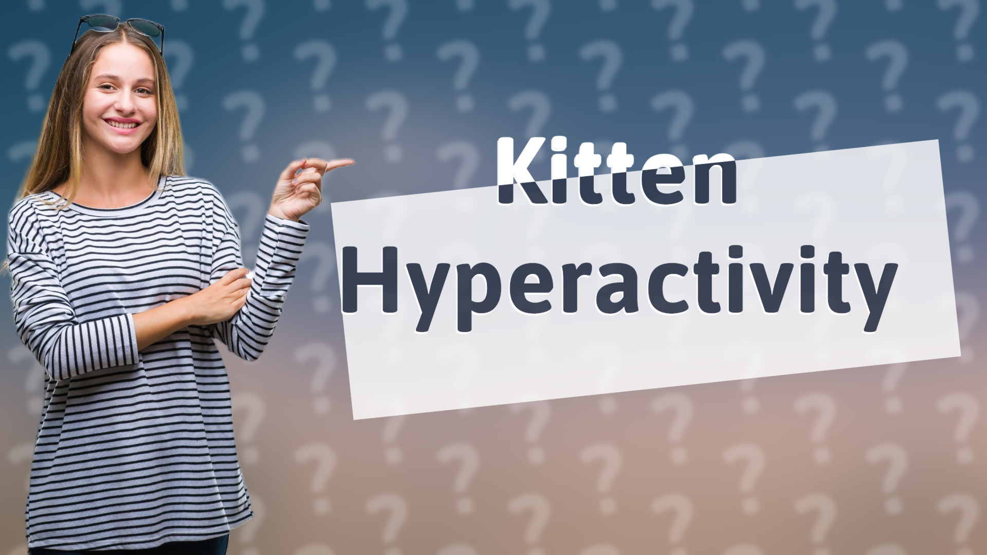 Kitten Hyperactivity