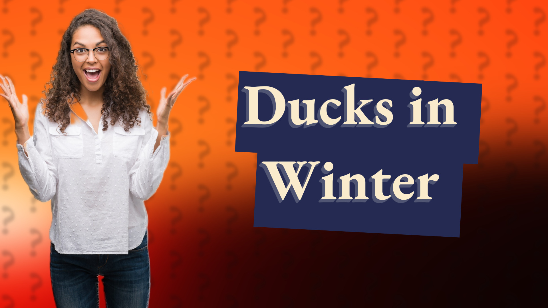 Ducks in Winter