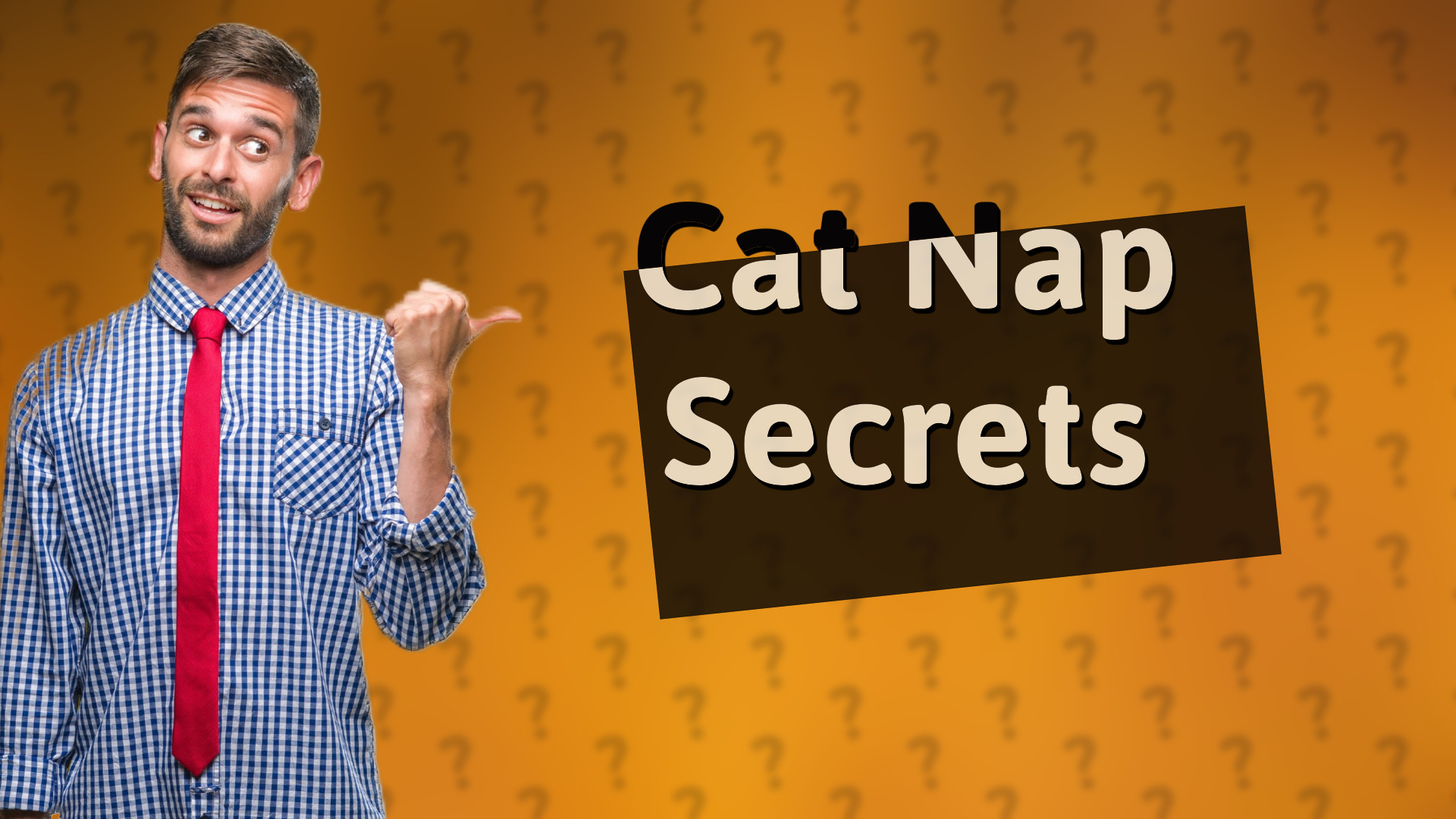 Cat Nap Secrets