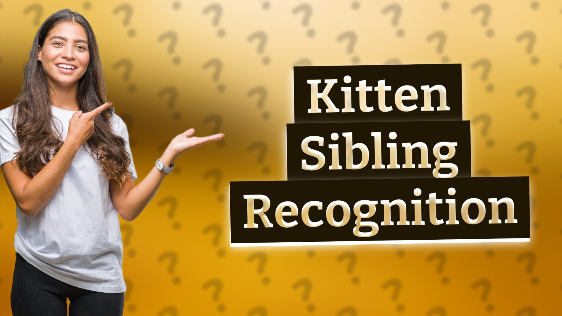 Kitten Sibling Recognition