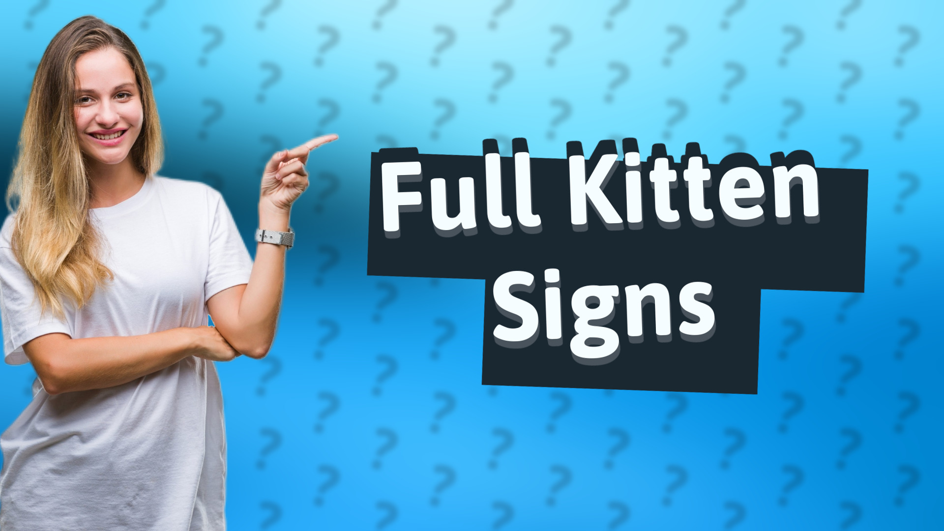 Full Kitten Signs
