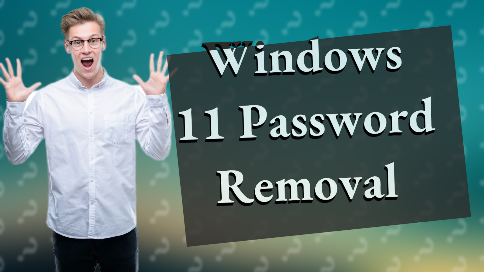 Windows 11 Password Removal