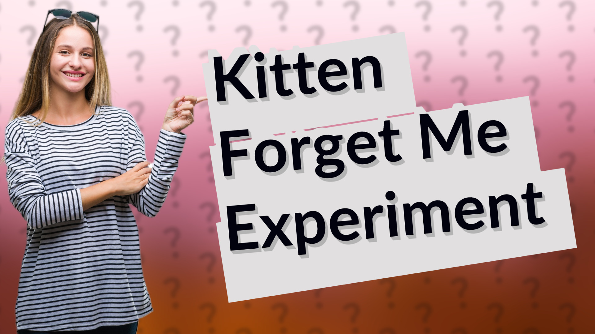 Kitten Forget Me Experiment