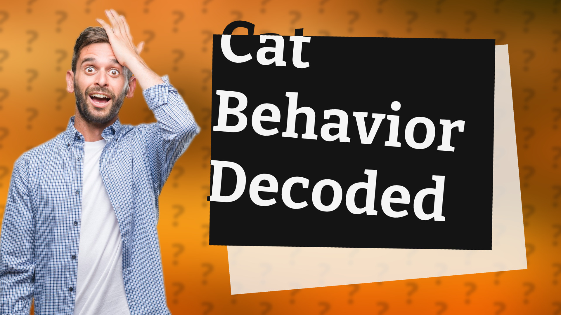 Cat Behavior Decoded