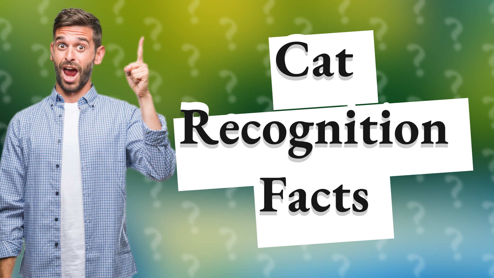 Cat Recognition Facts