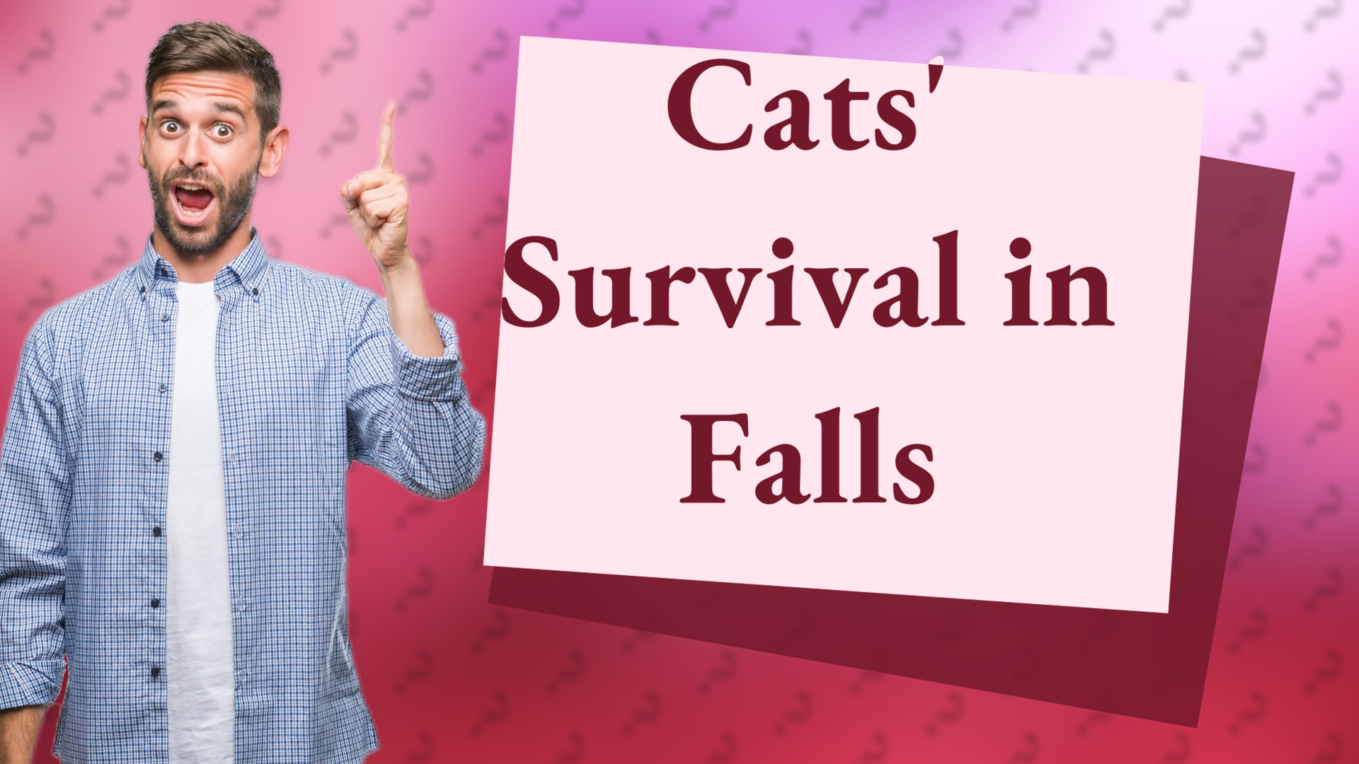 Cats' Survival in Falls