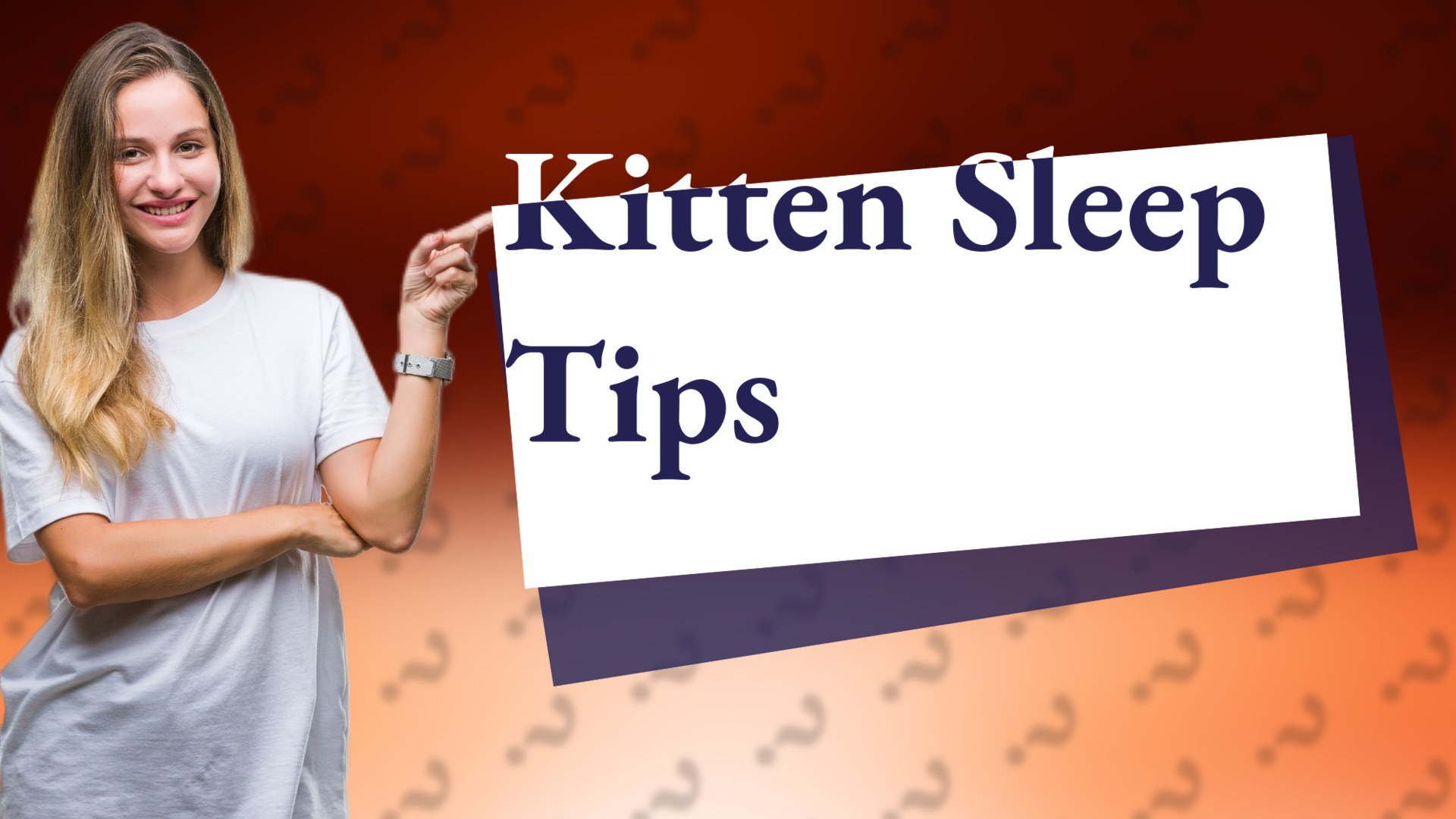 Kitten Sleep Tips