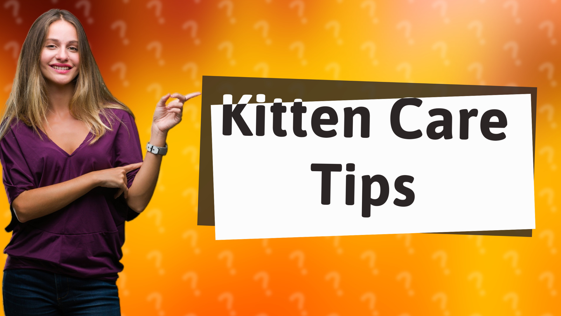 Kitten Care Tips