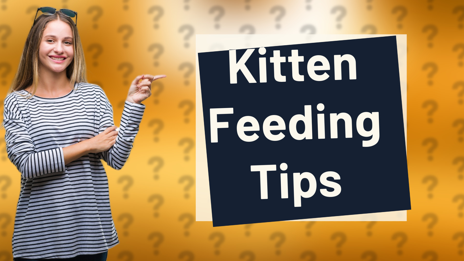 Kitten Feeding Tips