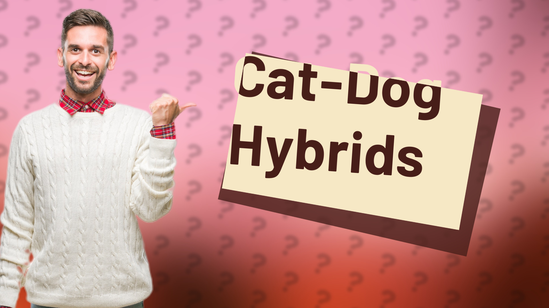Cat-Dog Hybrids