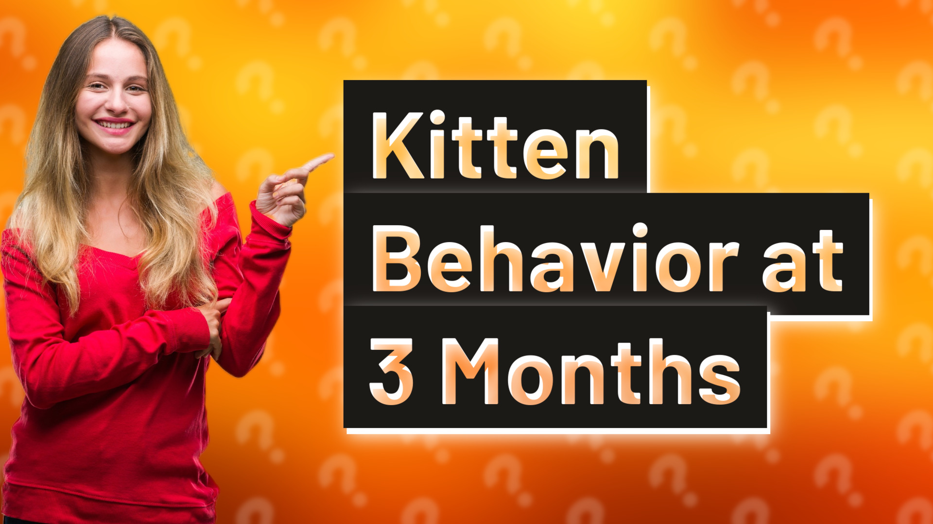 Kitten Behavior at 3 Months