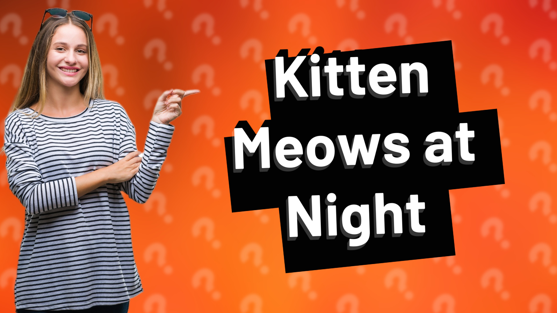 Kitten Meows at Night