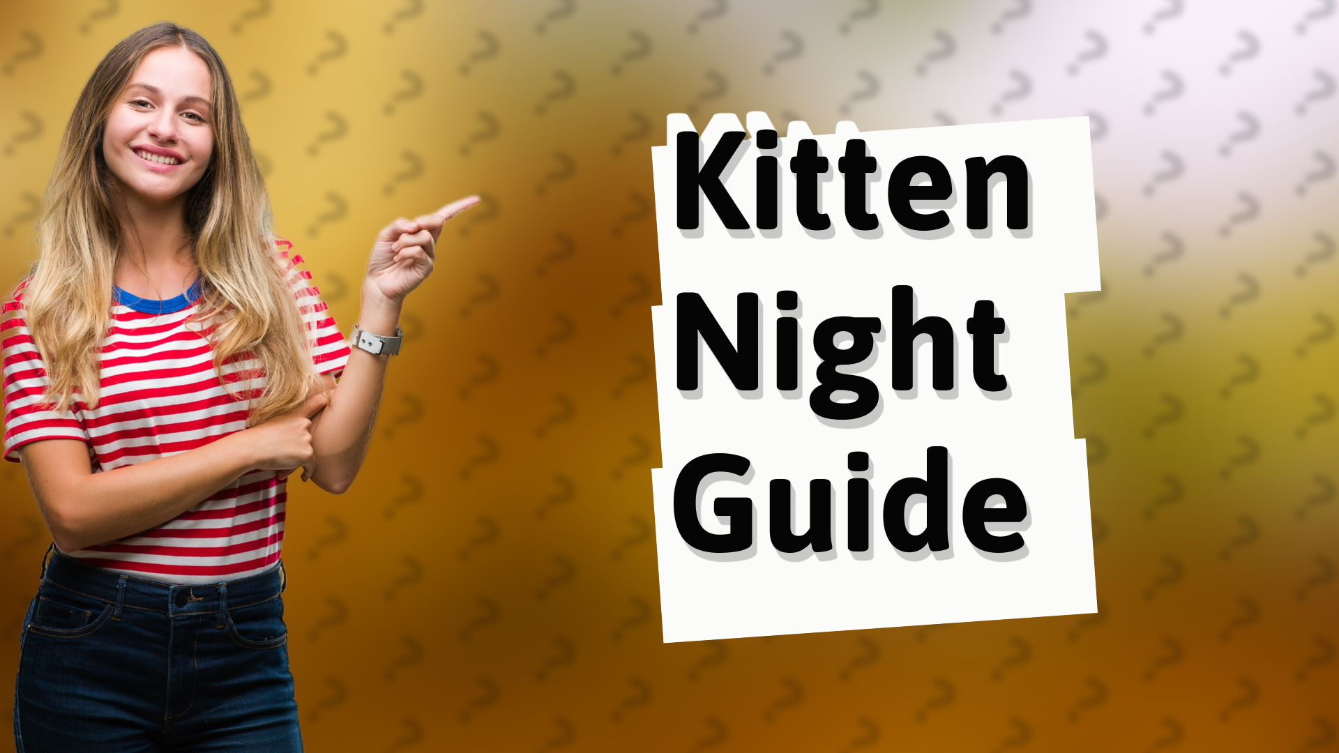 Kitten Night Guide