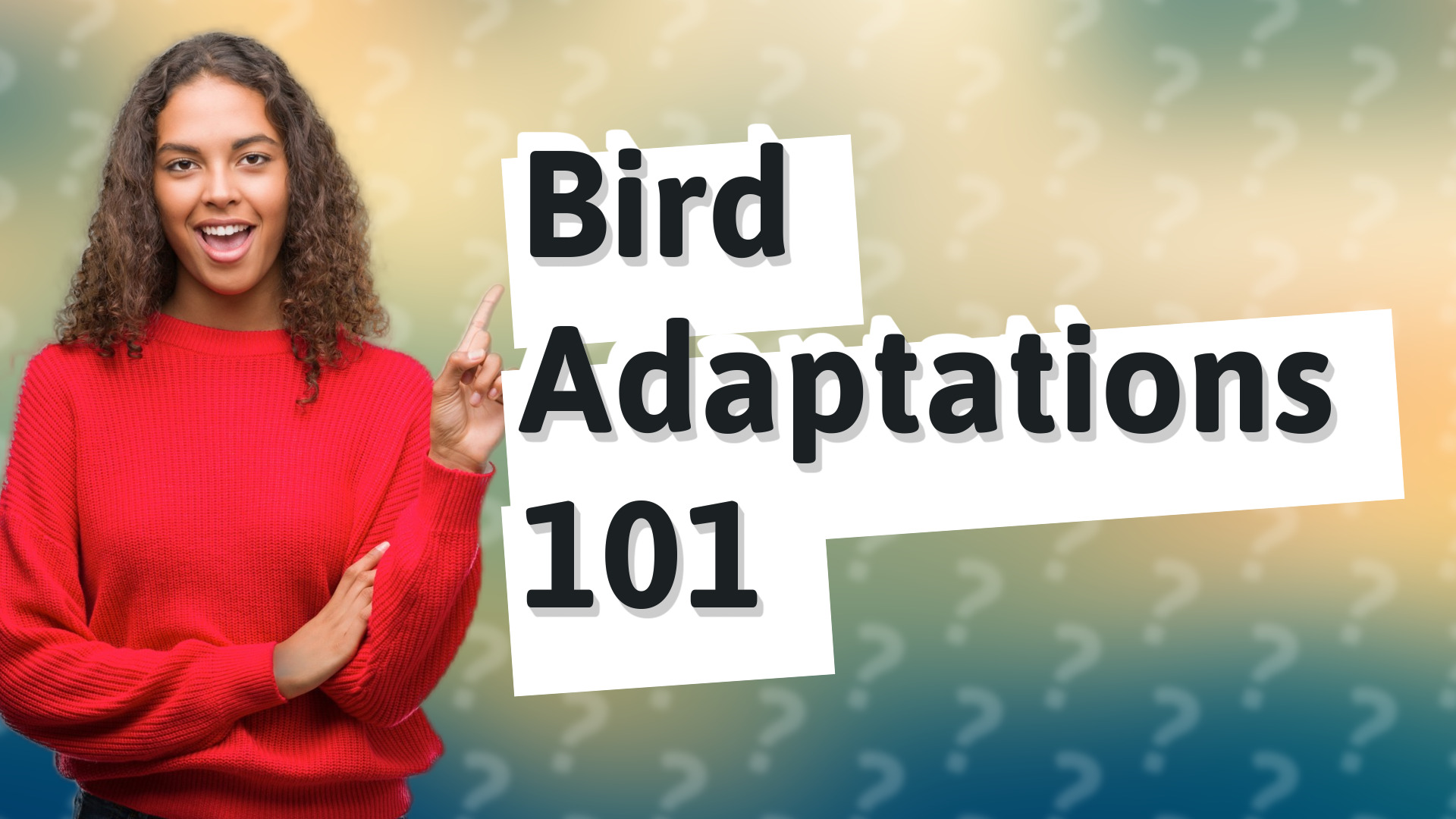 Bird Adaptations 101