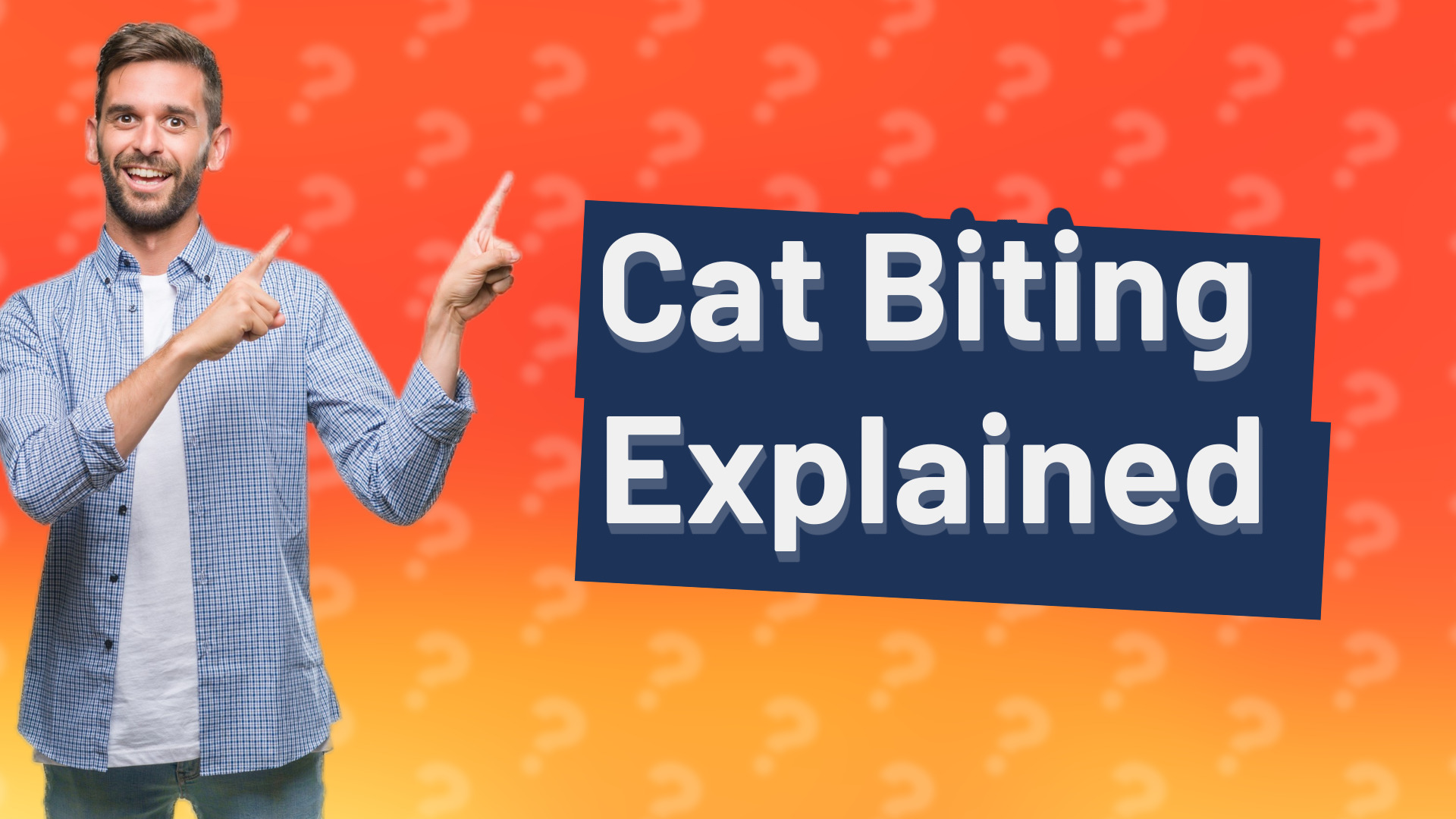 Cat Biting Explained