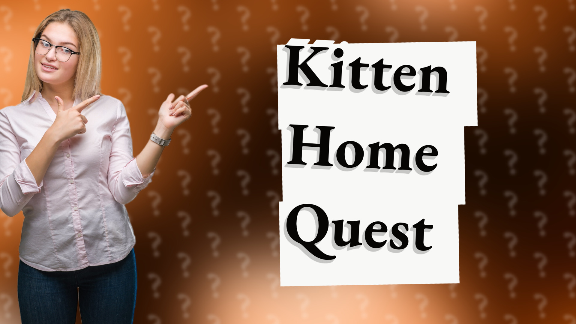 Kitten Home Quest