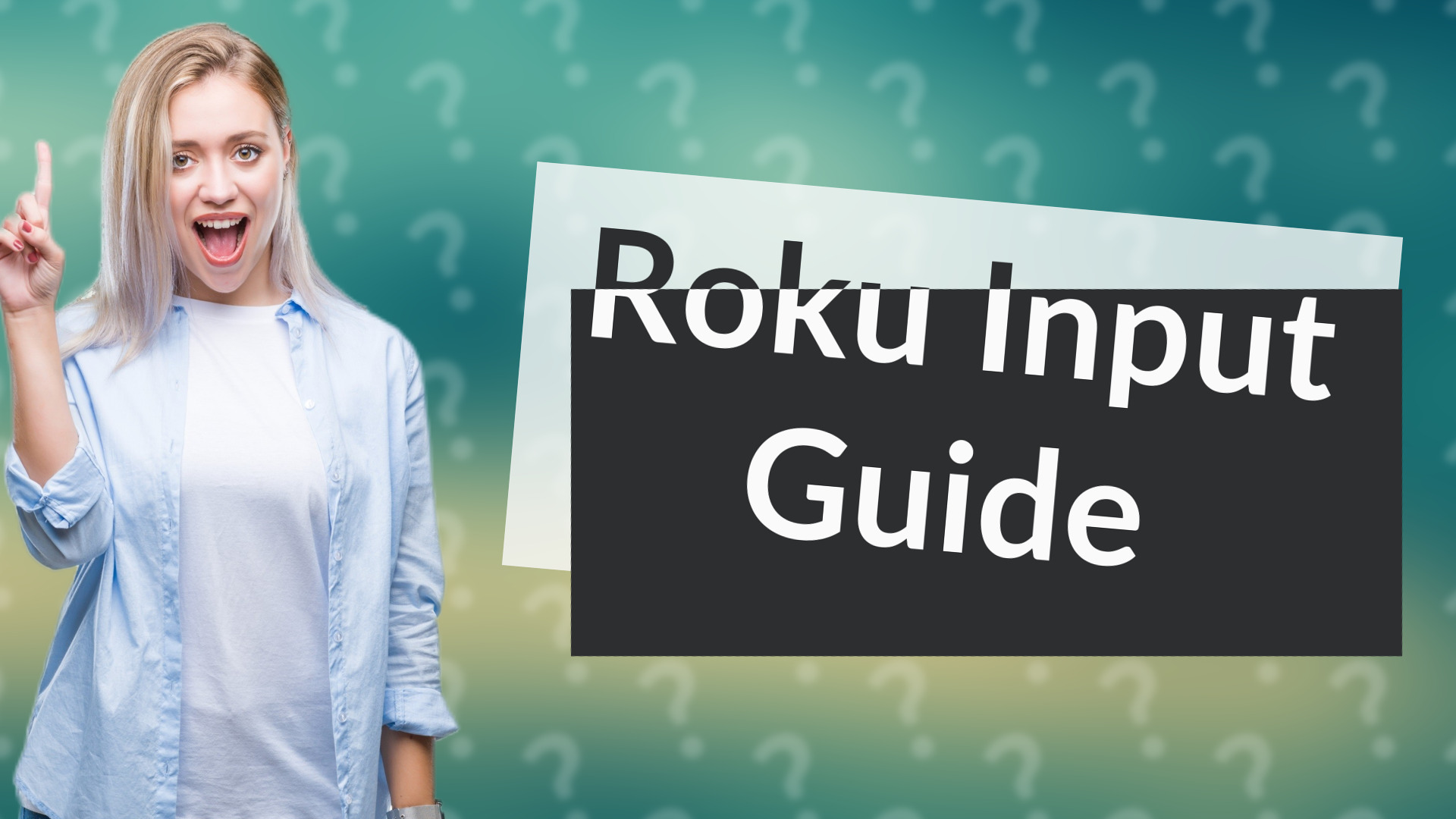 Roku Input Guide