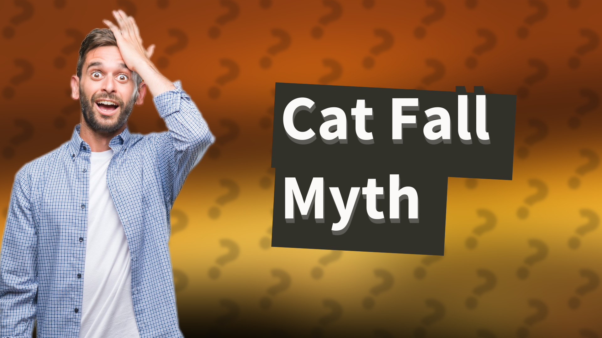Cat Fall Myth
