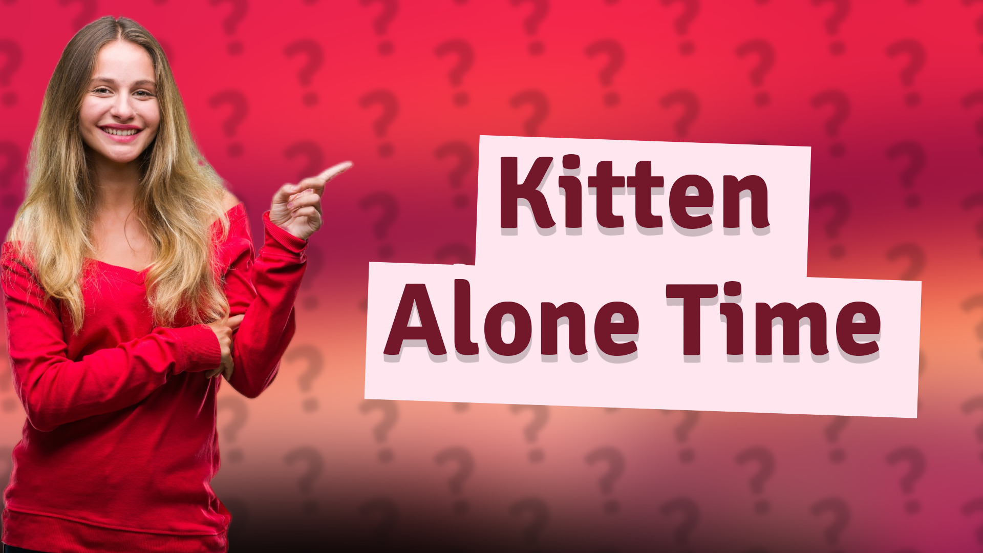Kitten Alone Time