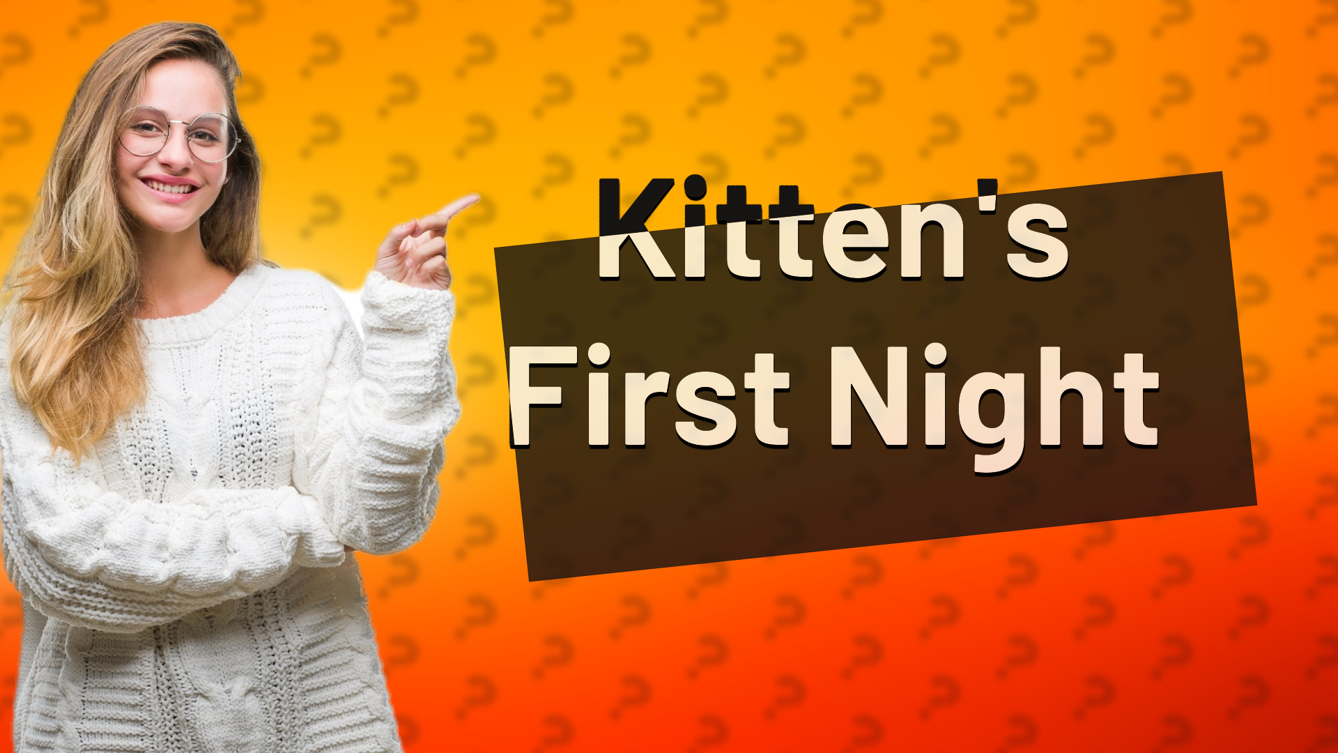 Kitten's First Night