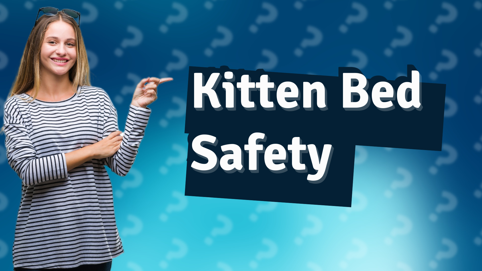 Kitten Bed Safety
