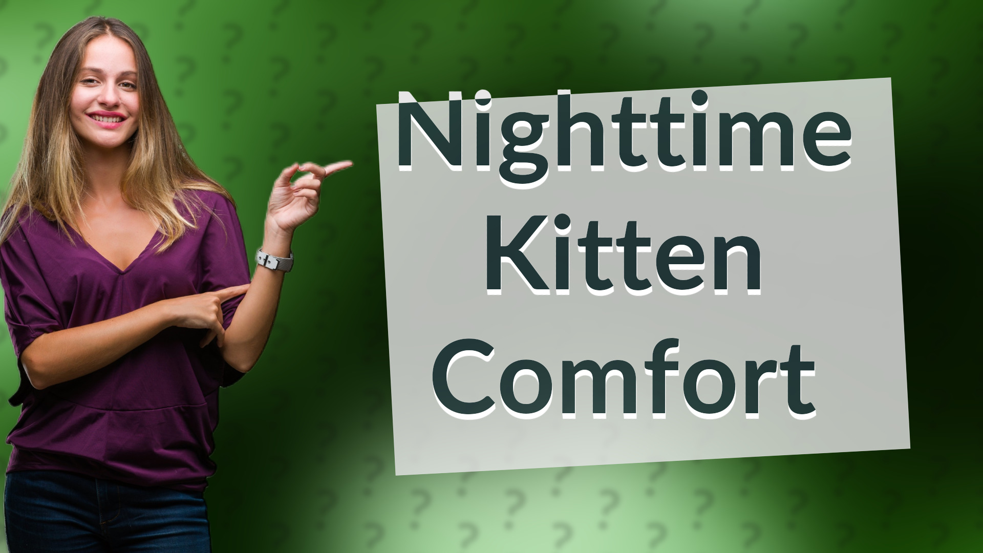 Nighttime Kitten Comfort