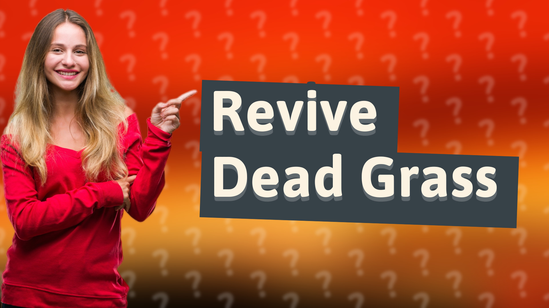 Revive Dead Grass