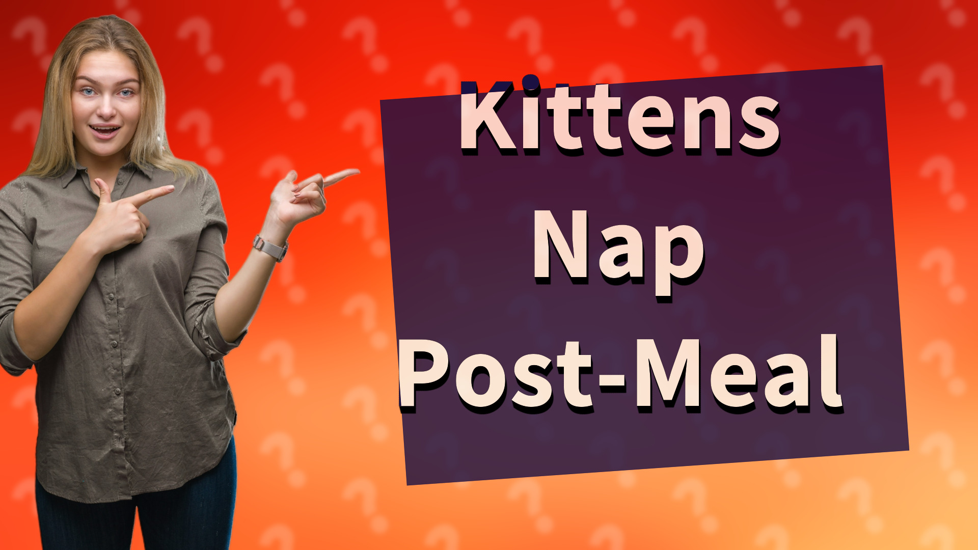 Kittens Nap Post-Meal