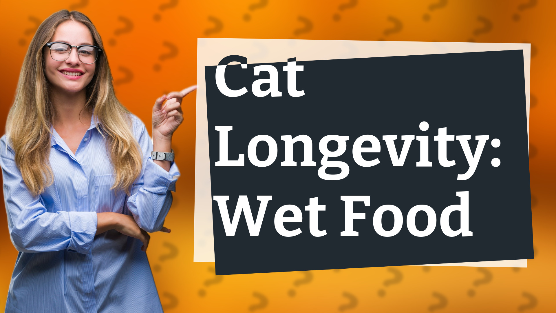 Cat Longevity: Wet Food