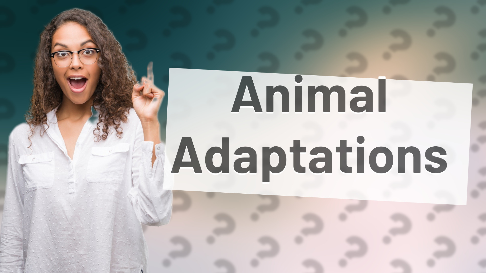 Animal Adaptations