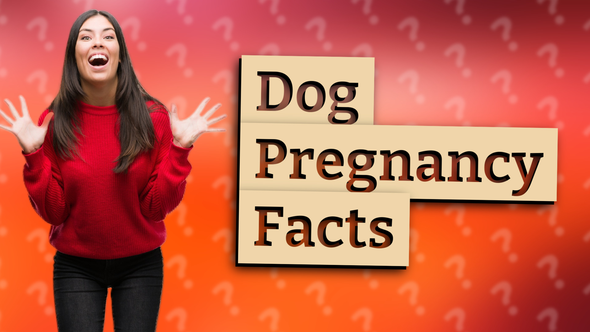Dog Pregnancy Facts