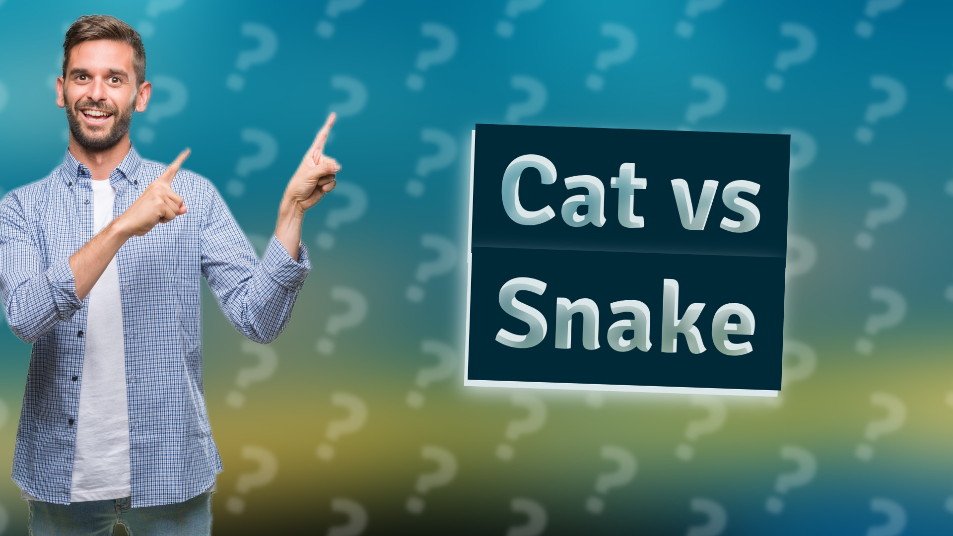 Cat vs Snake