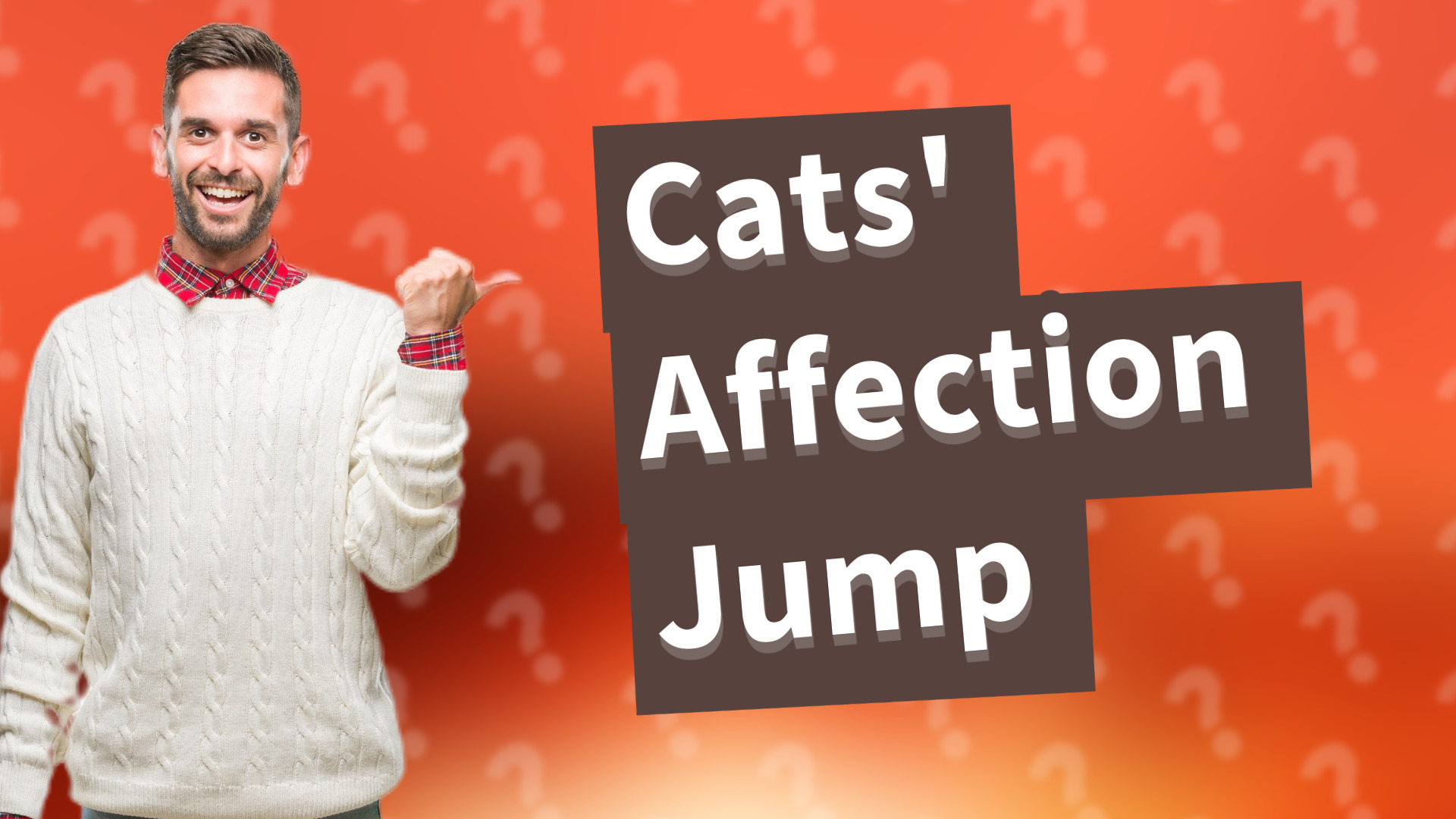 Cats' Affection Jump