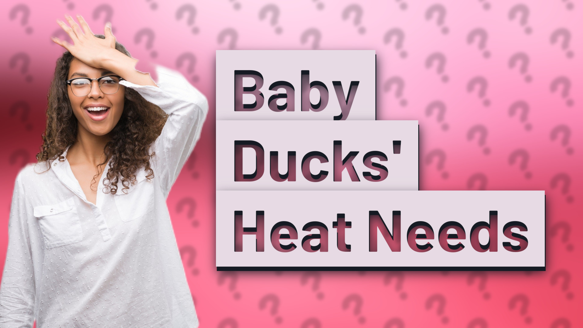 Baby Ducks' Heat Needs