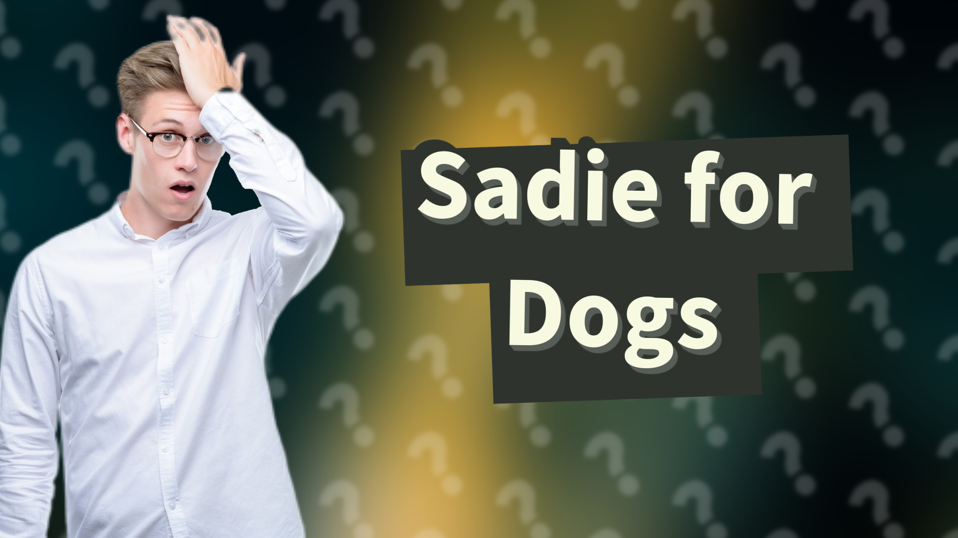 Sadie for Dogs