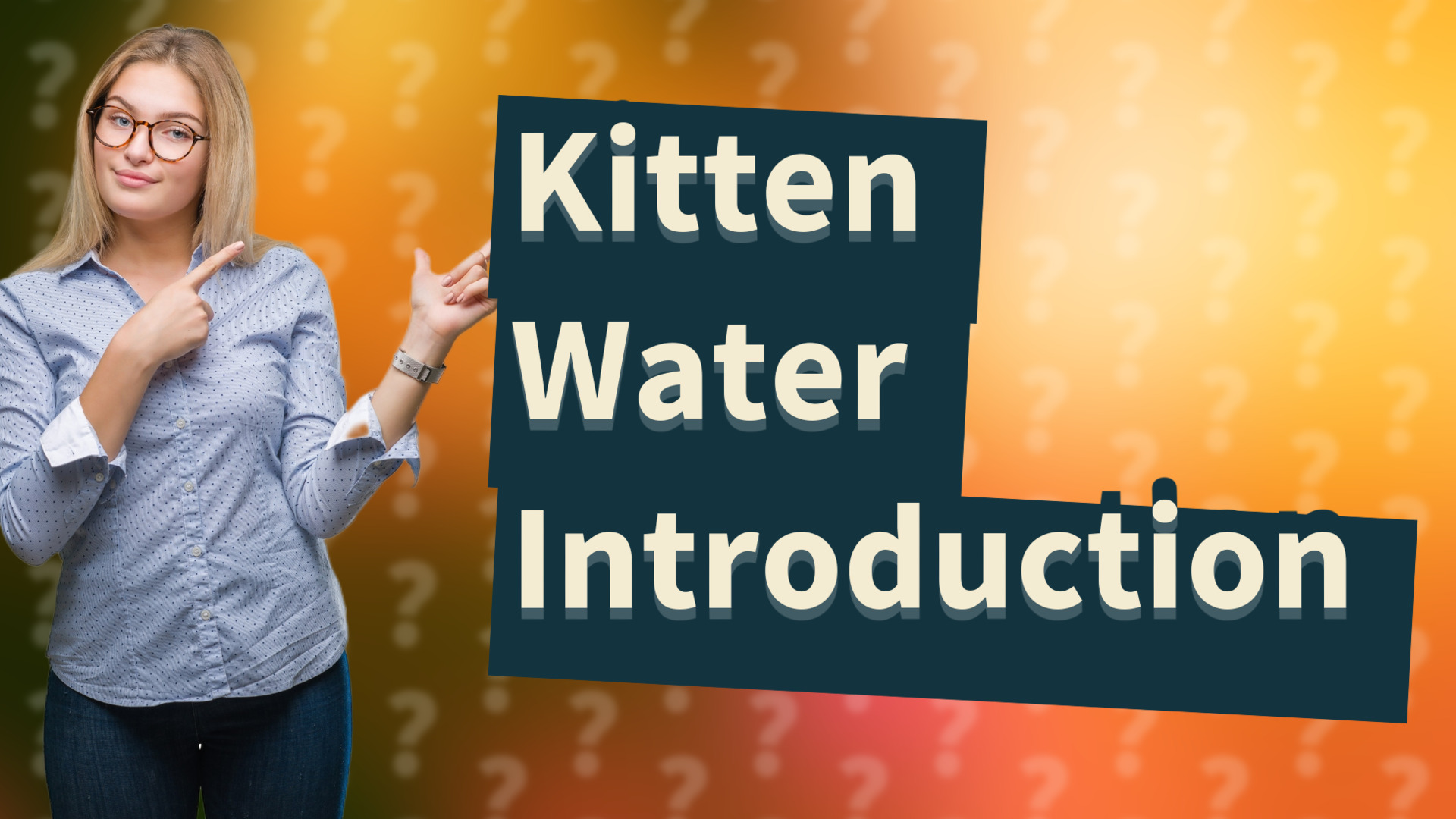 Kitten Water Introduction