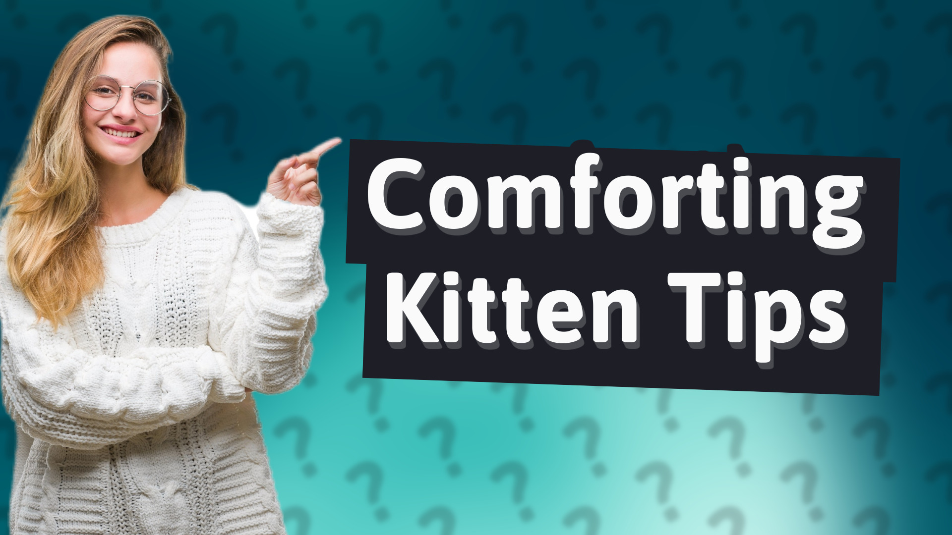 Comforting Kitten Tips