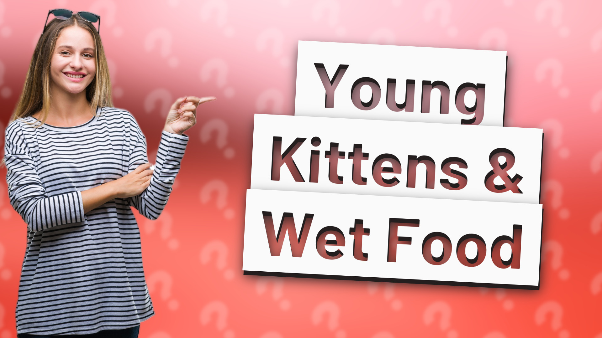 Young Kittens & Wet Food