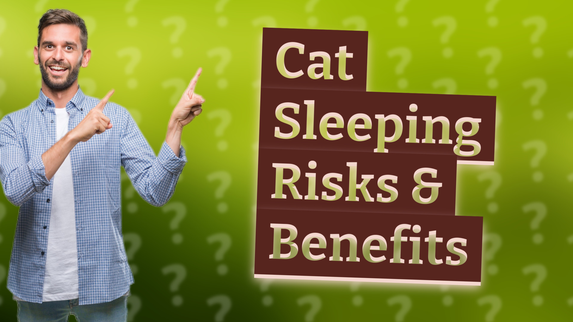 Cat Sleeping Risks & Benefits