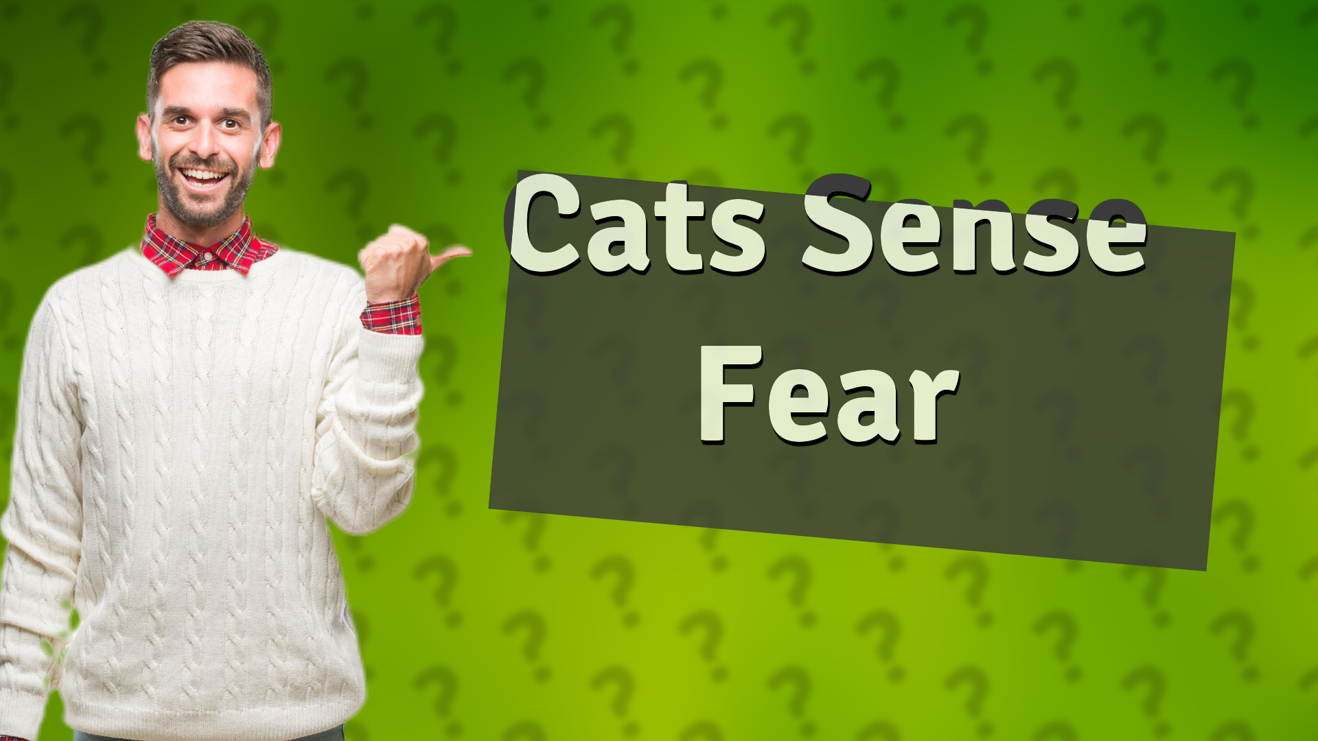 Cats Sense Fear