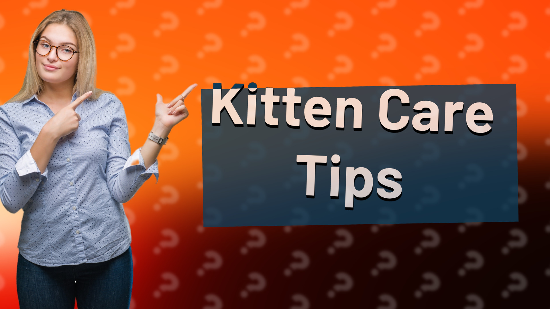 Kitten Care Tips