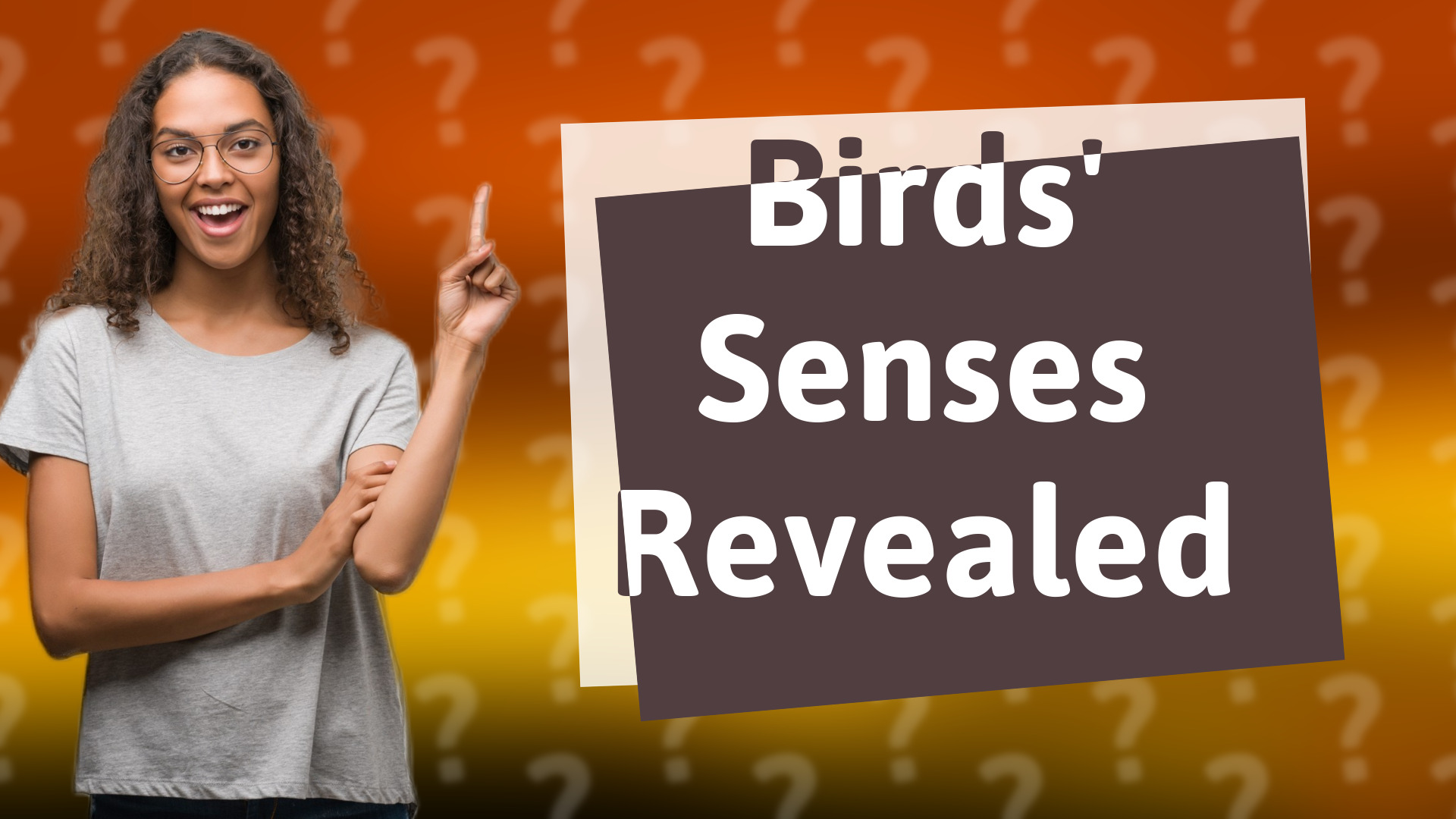 Birds' Senses Revealed