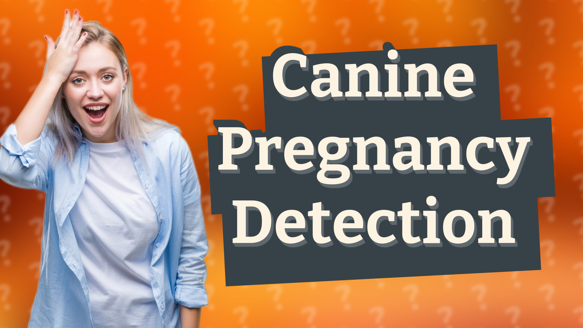 Canine Pregnancy Detection