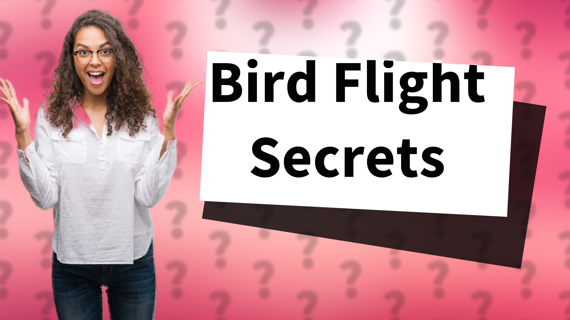 Bird Flight Secrets