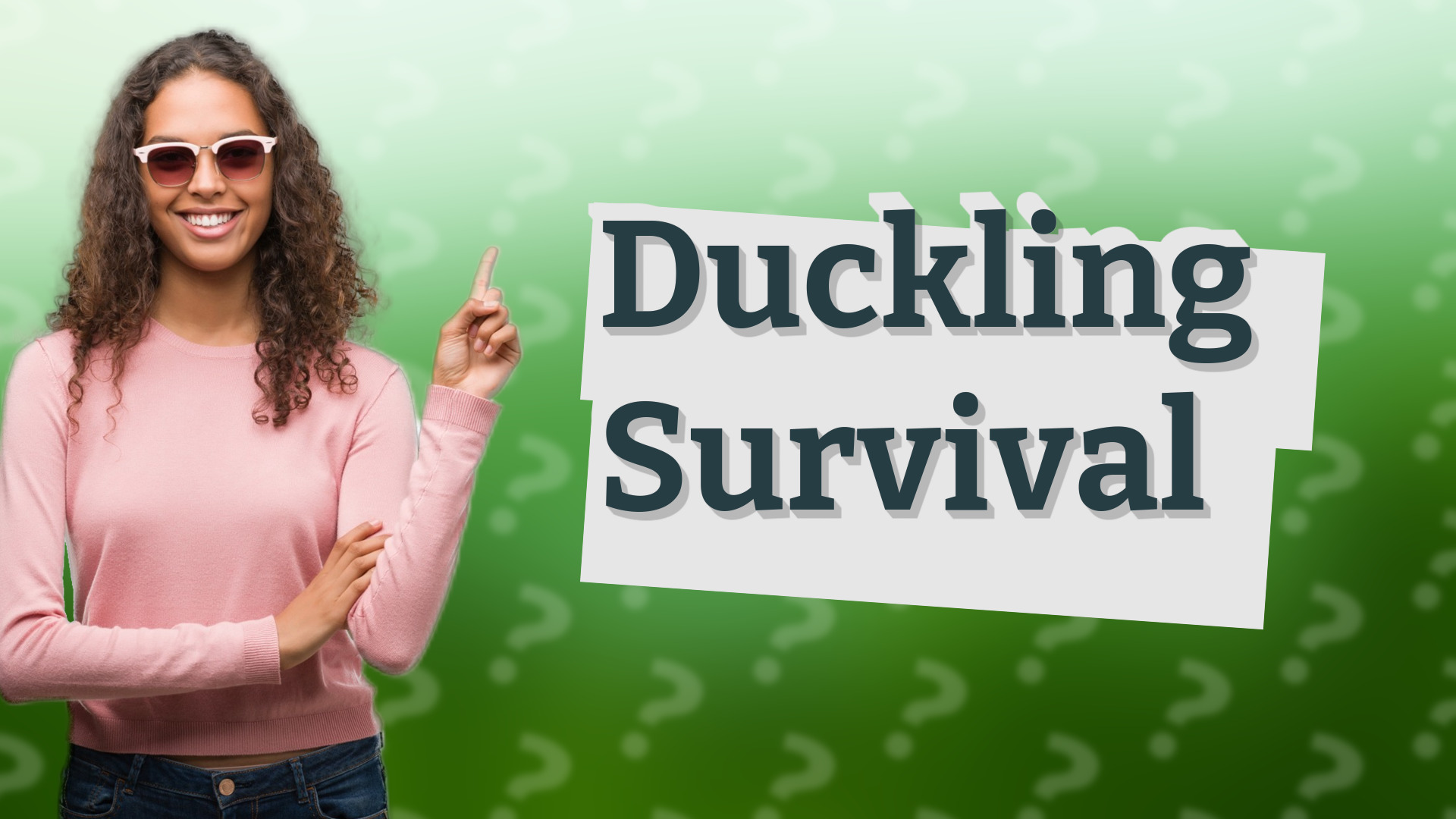 Duckling Survival