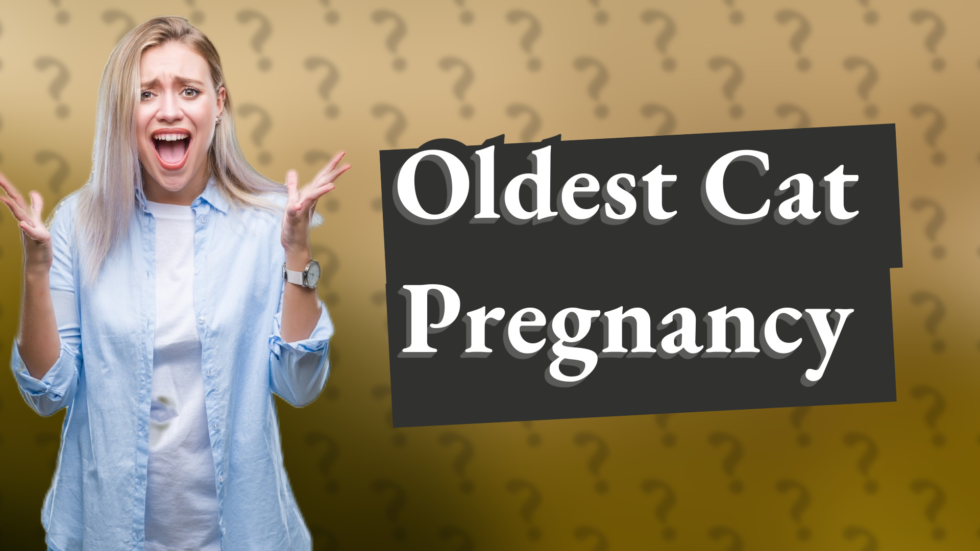 Oldest Cat Pregnancy